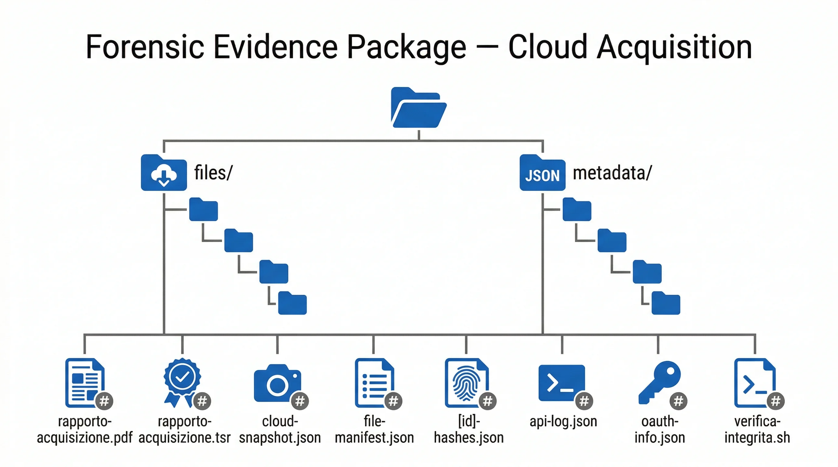 Struttura del fascicolo forense prodotto dall'acquisizione cloud