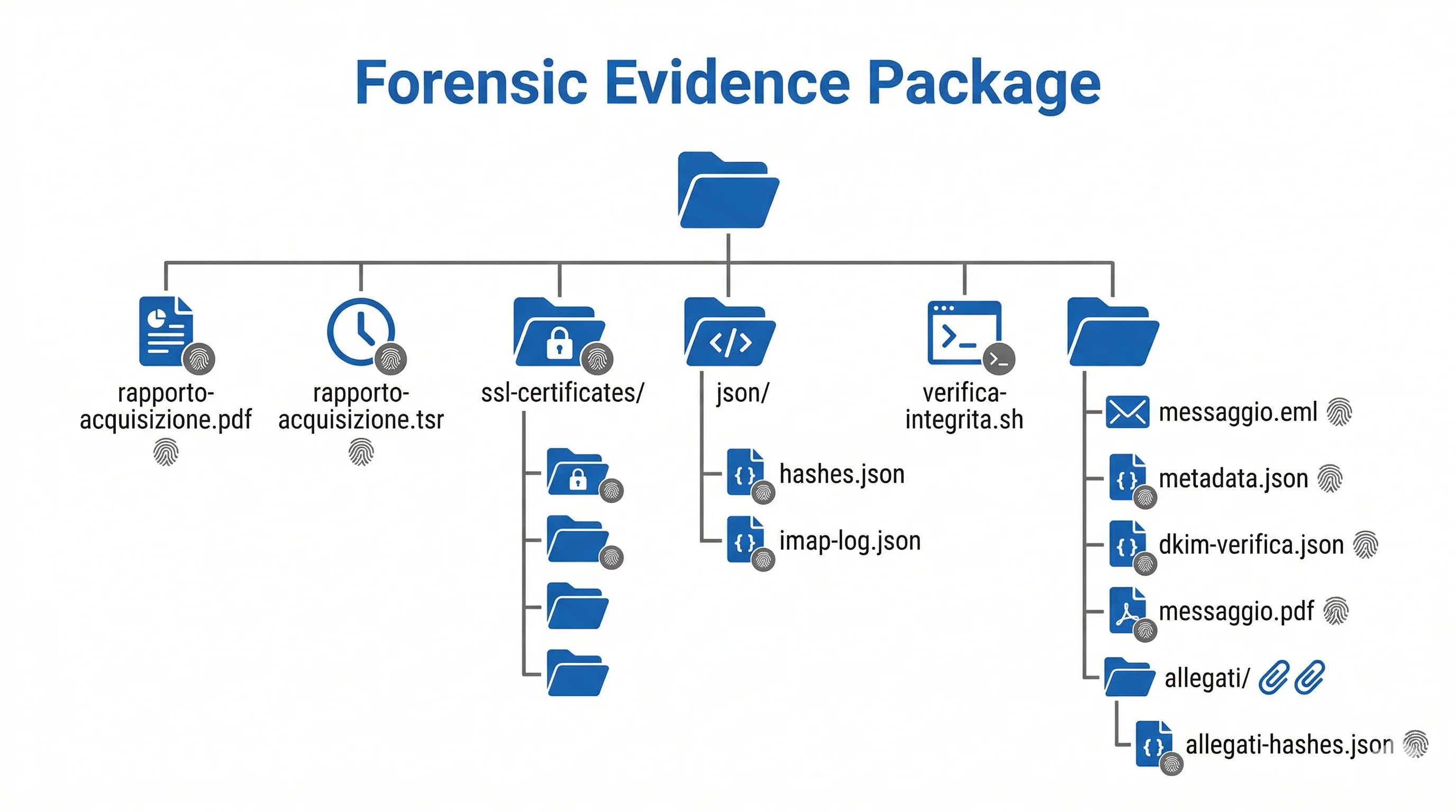 Struttura del fascicolo forense email prodotto dall'acquisizione