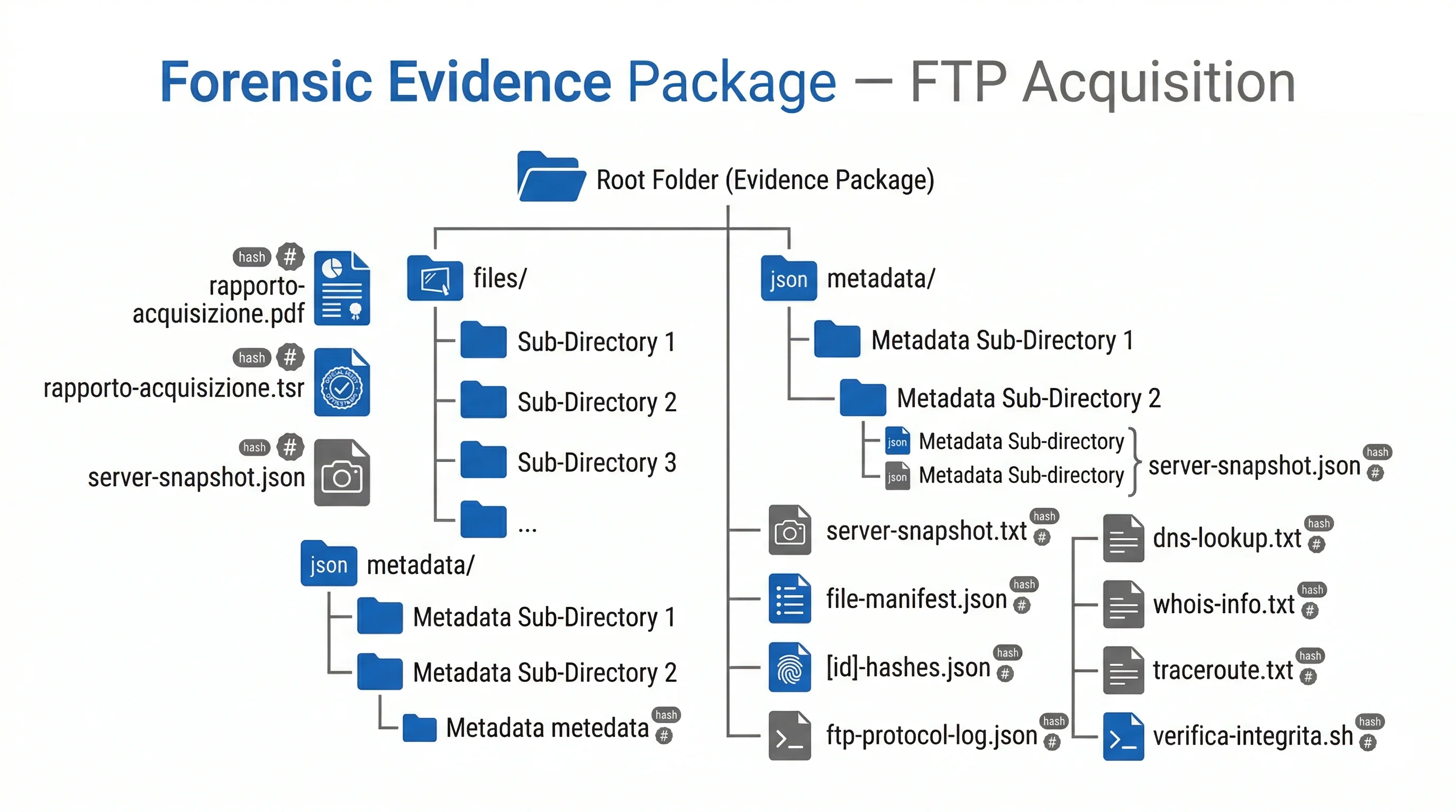 Struttura del fascicolo forense prodotto dall'acquisizione FTP