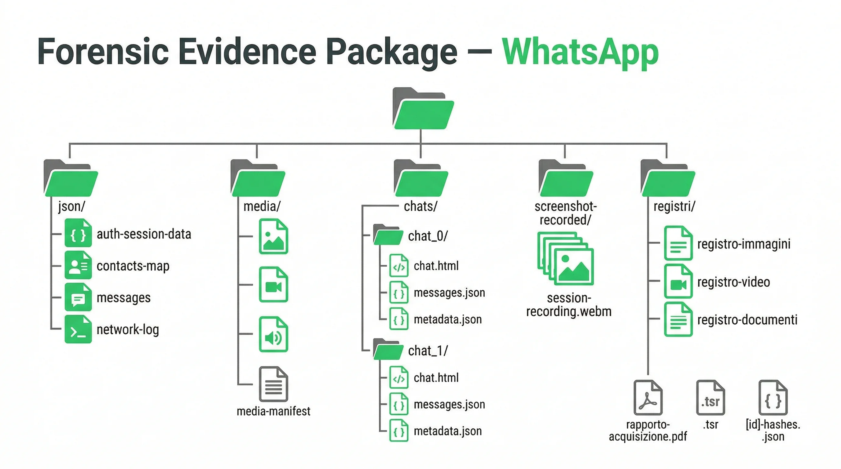 Struttura del fascicolo forense prodotto dall'acquisizione WhatsApp