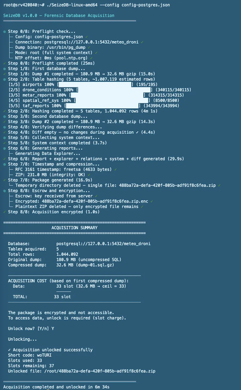 SeizeDB output console acquisizione PostgreSQL